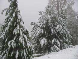 foto paesaggi invernali nevicate 2003 7
